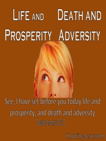 Deuteronomy 30:15 Life And Prosperity Or Death And Adversity (brown)